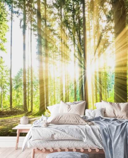 grønt tilpassbart skogtapet veggmaleri kalt Forest Sun for kontor