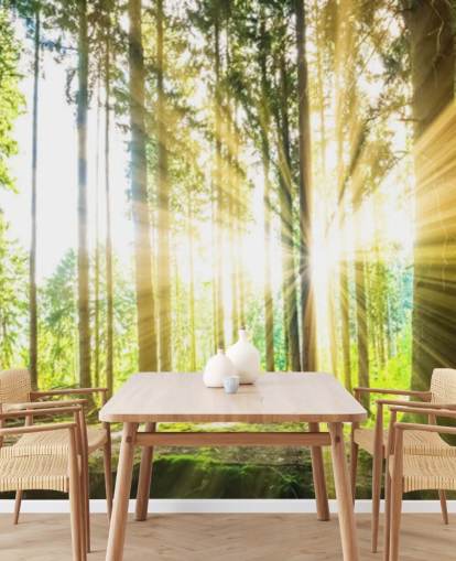 green customisable forest wallpaper mural called Forest Sun for office