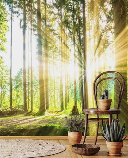 grønt tilpassbart skogtapet veggmaleri kalt Forest Sun for kontor