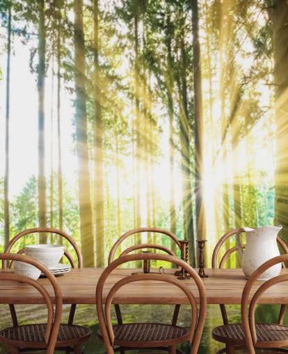 grønt tilpasseligt skovtapet vægmaleri kaldet Forest Sun til kontor