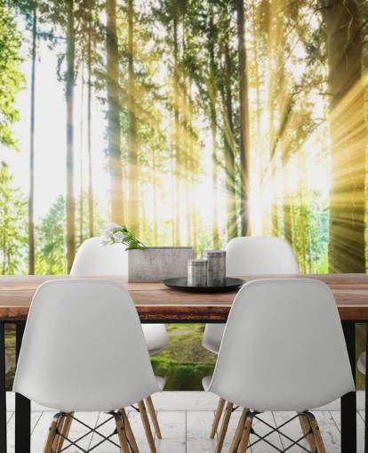 green customizable forest wallpaper mural called Forest Sun for office