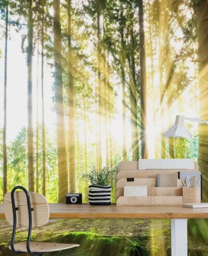 carta da parati murale verde personalizzabile con foresta chiamata Forest Sun per ufficio