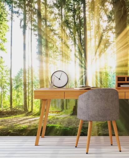 groene aanpasbare bosbehangmuurschildering genaamd Forest Sun voor op kantoor groene aanpasbare bosbehangmuurschildering genaamd Forest Sun voor op kantoor