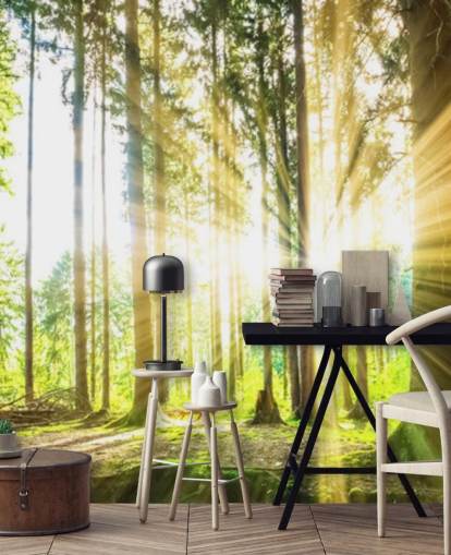 mural verde personalizable de papel pintado de bosque llamado Forest Sun para oficina