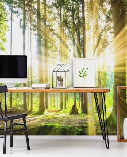 grön anpassningsbar skogstapetväggmålning kallad Forest Sun för kontor grön anpassningsbar skogstapetväggmålning kallad Forest Sun för kontor