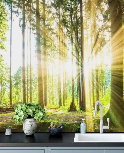 green customizable forest wallpaper mural called Forest Sun for office
