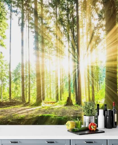 green customizable forest wallpaper mural called Forest Sun for office