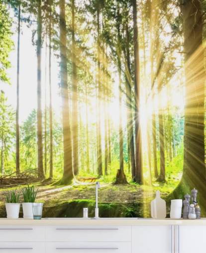 green customisable forest wallpaper mural called Forest Sun for office green customisable forest wallpaper mural called Forest Sun for office