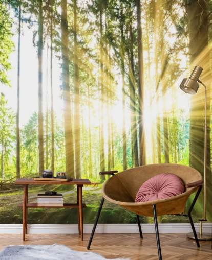 papier peint mural vert personnalisable en forme de forêt appelé Forest Sun pour le bureau papier peint mural vert personnalisable en forme de forêt appelé Forest Sun pour le bureau