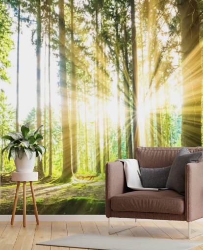 groene aanpasbare bosbehangmuurschildering genaamd Forest Sun voor op kantoor groene aanpasbare bosbehangmuurschildering genaamd Forest Sun voor op kantoor