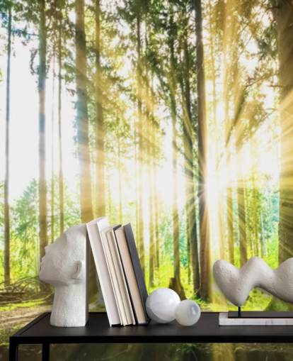 grön anpassningsbar skogstapetväggmålning kallad Forest Sun för kontor