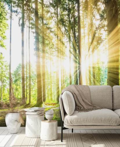green customizable forest wallpaper mural called Forest Sun for office