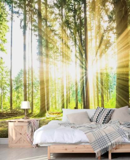 green customisable forest wallpaper mural called Forest Sun for office