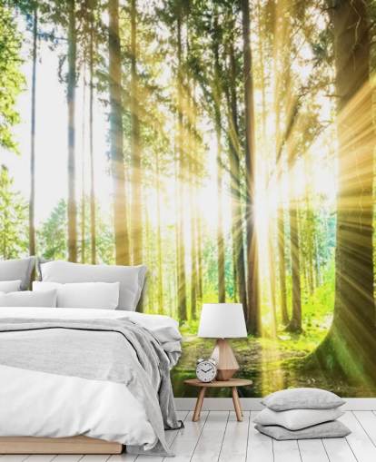 grüne, anpassbare Wald-Wandtapete namens Forest Sun für das Büro grüne, anpassbare Wald-Wandtapete namens Forest Sun für das Büro