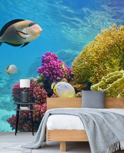 Fisk og fargerik Coral Mural