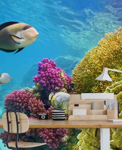 Fish and Colourful Coral Mural