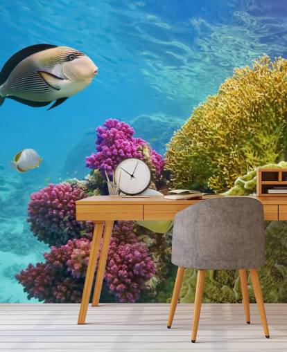 Fish and Colourful Coral Mural