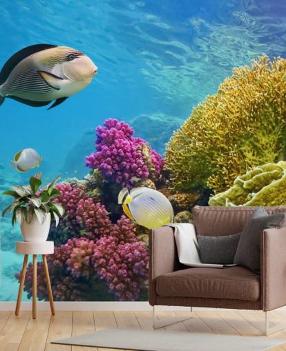 Fische und bunte Korallen Fototapete Fische und bunte Korallen Fototapete