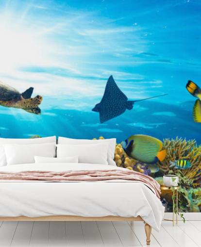 Colourful Fish and Coral Wallpaper Colourful Fish and Coral Wallpaper