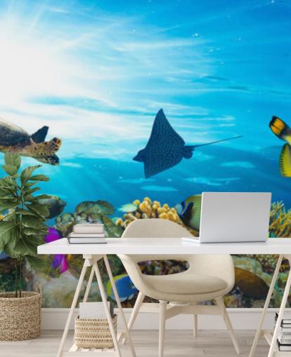 Colourful Fish and Coral Wallpaper