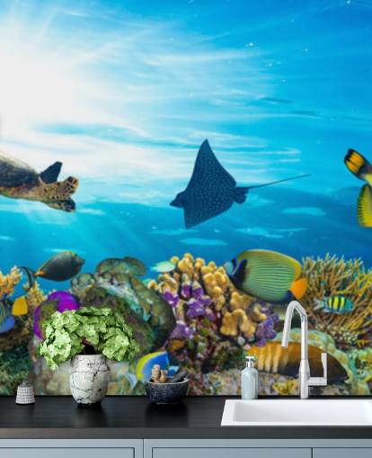 Colourful Fish and Coral Wallpaper Colourful Fish and Coral Wallpaper