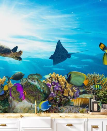 Sea Life Coral Reef Panorama Fish Wallpaper