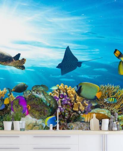 Colourful Fish and Coral Wallpaper Colourful Fish and Coral Wallpaper