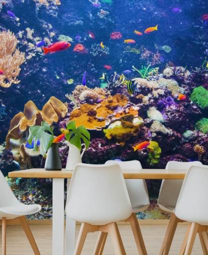 Coral Reef and Tropical Fish Wallpaper