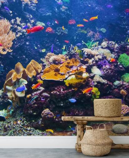 Coral Reef and Tropical Fish Wallpaper