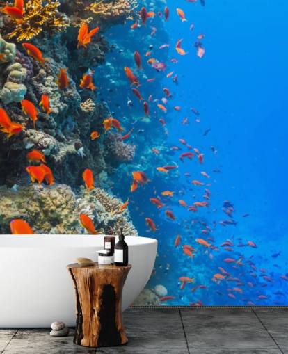 Orange Fish with Coral Wall Mural Orange Fish with Coral Wall Mural