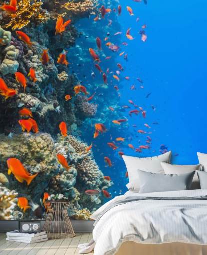 Mural de pared Pescado naranja con coral Mural de pared Pescado naranja con coral