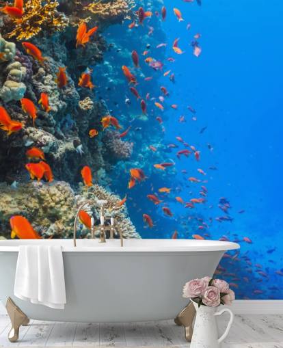 Oransje fisk med Coral Veggmaleri