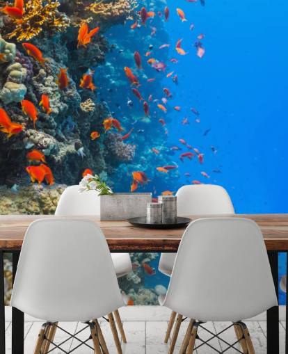 Peixe laranja com mural de parede de coral