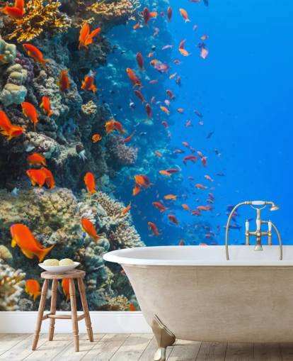 Orange Fish with Coral Wall Mural
