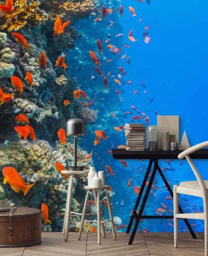 Mural de pared Pescado naranja con coral