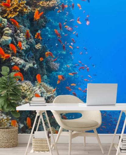 Mural de pared Pescado naranja con coral