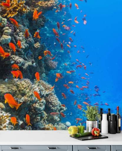 Orange Fish with Coral Wall Mural