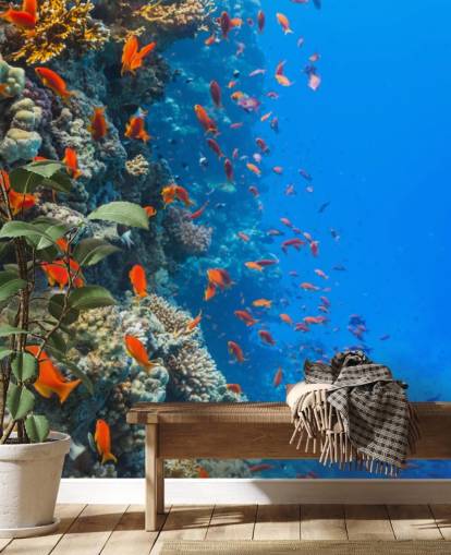 Orange Fish with Coral Wall Mural