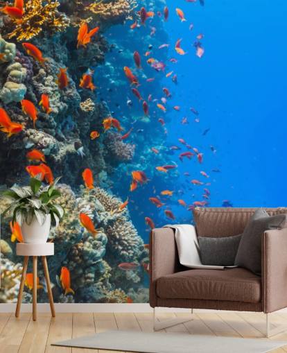 Orange Fish with Coral Wall Mural