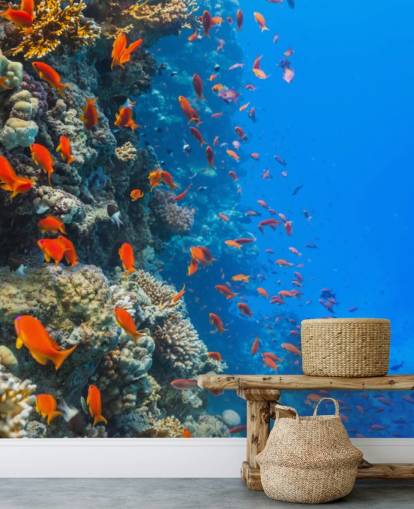 Mural de pared Pescado naranja con coral Mural de pared Pescado naranja con coral