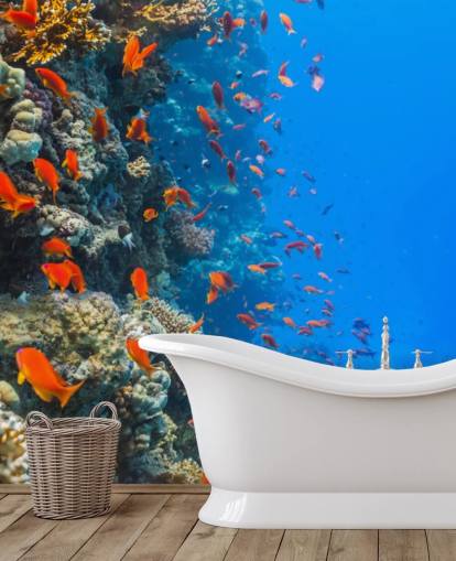 Peixe laranja com mural de parede de coral