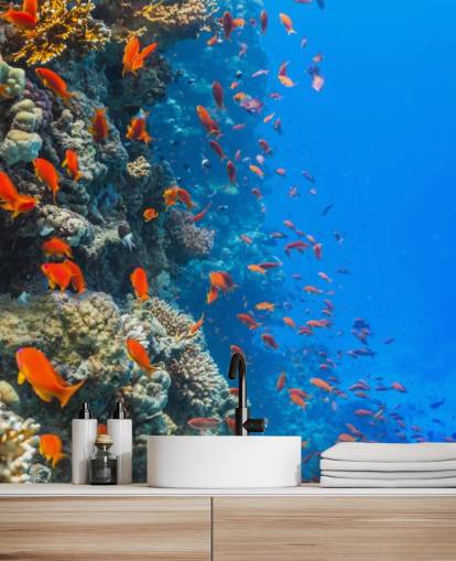 Orange Fish with Coral Wall Mural