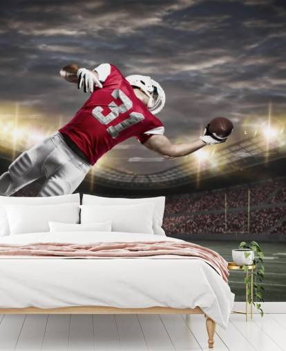 dark american football wall mural called One-Handed Catch for teen bedrooms and man caves