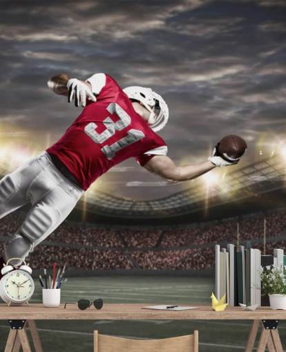 dark american football wall mural called One-Handed Catch for teen bedrooms and man caves