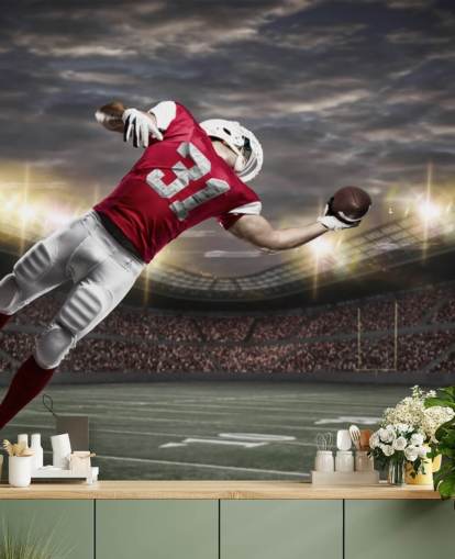 dark american football wall mural called One-Handed Catch for teen bedrooms and man caves