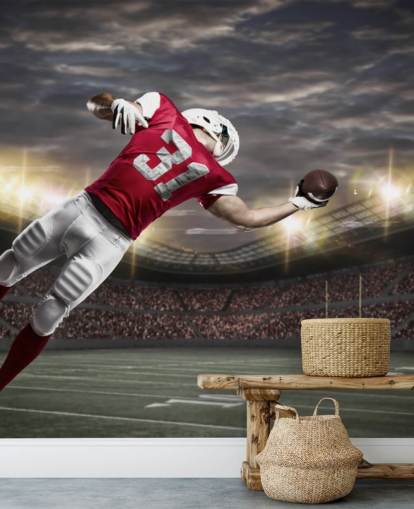 dark american football wall mural called One-Handed Catch for teen bedrooms and man caves