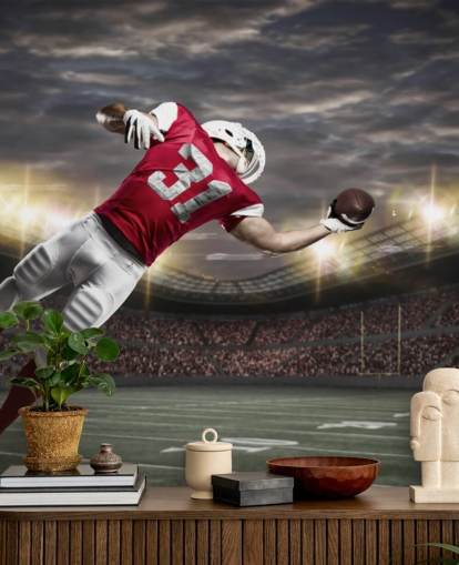 dark american football wall mural called One-Handed Catch for teen bedrooms and man caves