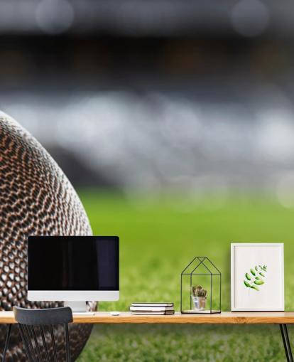 murale marrone e verde con football americano chiamato American Football Close-Up per camere da letto e scuole per adolescenti murale marrone e verde con football americano chiamato American Football Close-Up per camere da letto e scuole per adolescenti