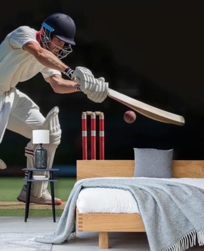 cricket behangmuurschildering voor tienerkamers en sportclubs cricket behangmuurschildering voor tienerkamers en sportclubs