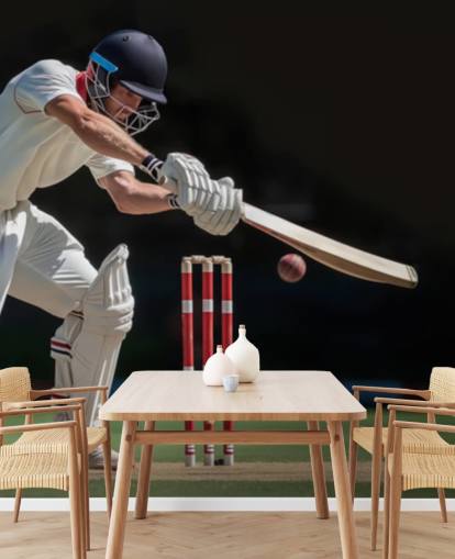 cricket tapet veggmaleri for tenåringssoverom og idrettsklubber cricket tapet veggmaleri for tenåringssoverom og idrettsklubber